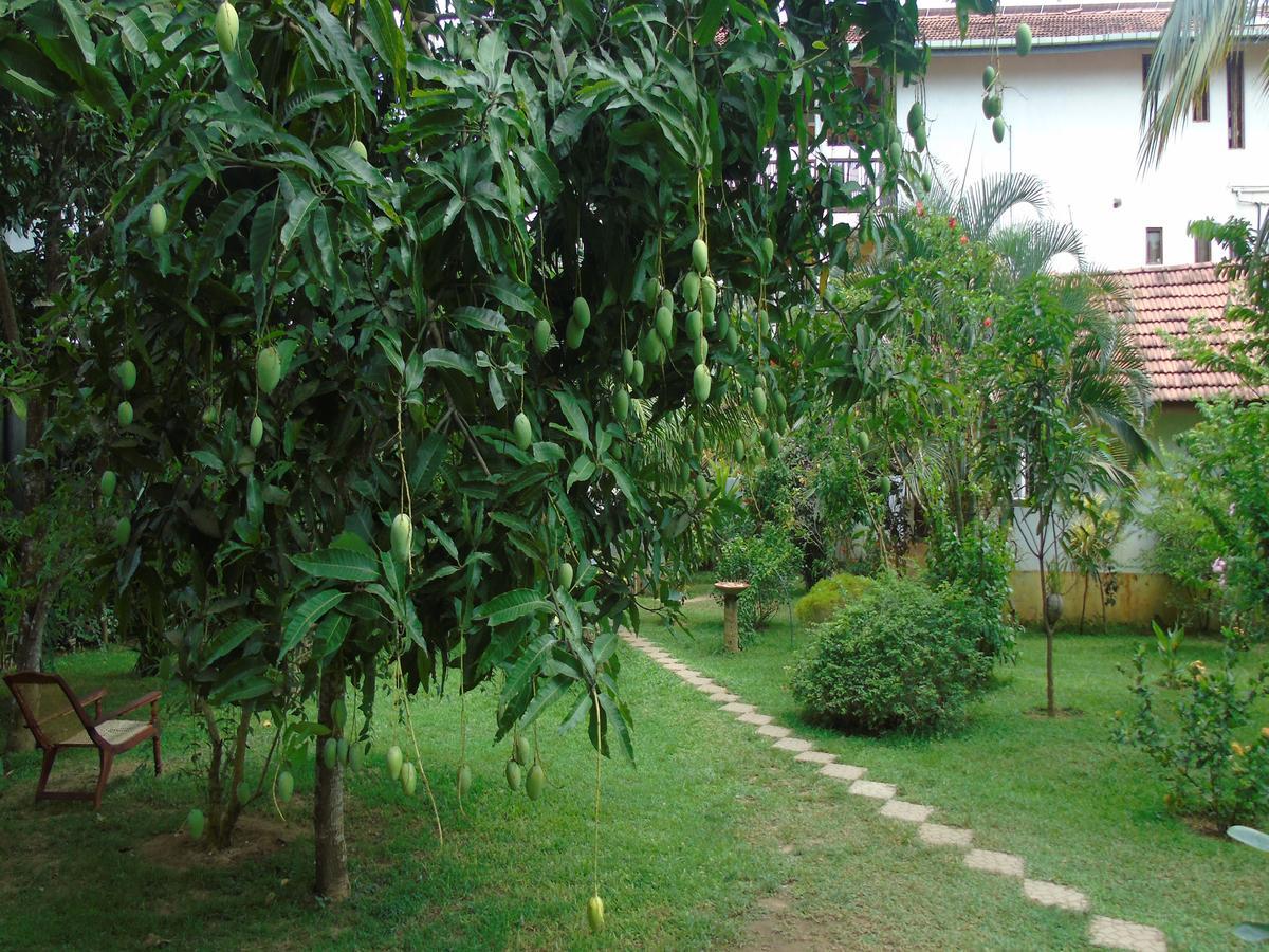 Secret Bay Hotel Matara Exterior foto
